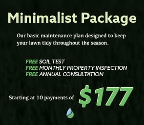 ri landscaping packages