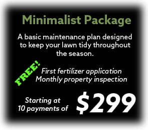 Landscaping Packages