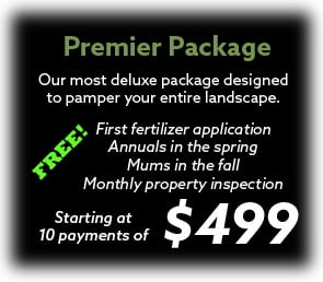 Landscaping Packages