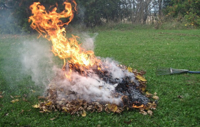 burning leaves