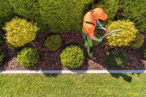 Tips to Get Your Landscape Ready for Spring