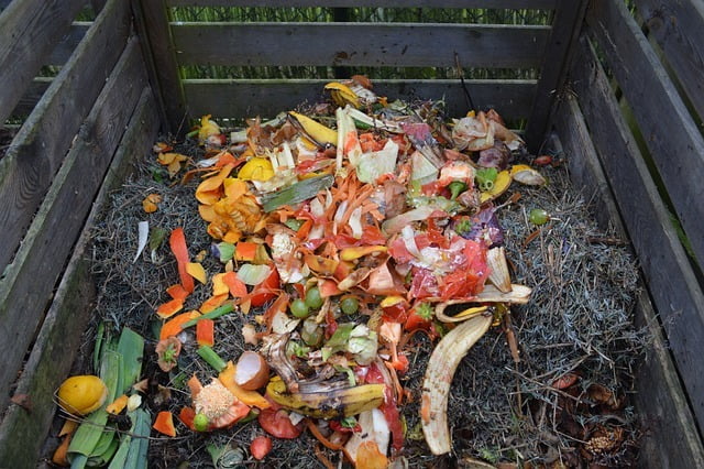 indoor compost bin