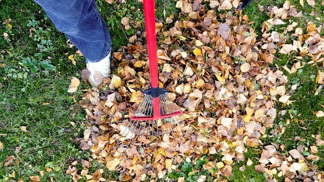 Comparing Fall Cleanup Companies