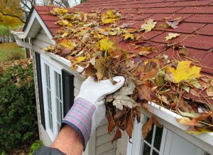We offer gutter cleaning services