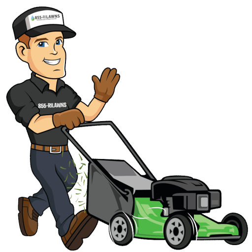 professional mowing services