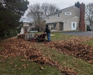 Fall Cleanups Rhode Island