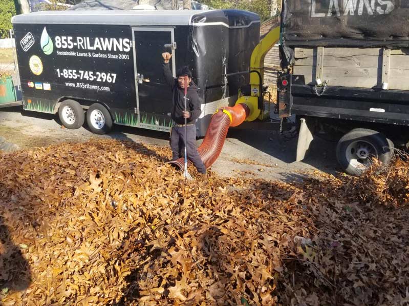 Fall Cleanup services Rhode Island 855rilawns