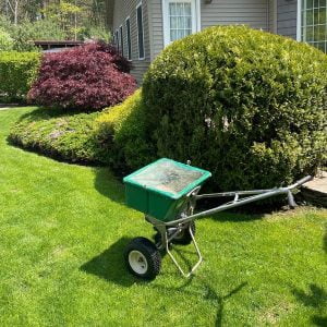 What Does Fall Clean-Up Include? List of Services You Get