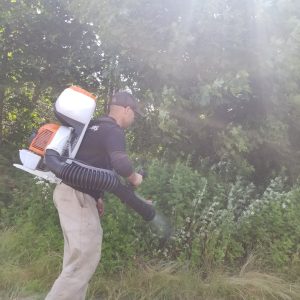 Is Tick & Mosquito Control Safe for Kids & Pets?