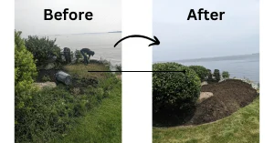 Why Is Bed Weeding and Clean Out Necessary?