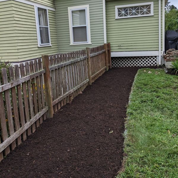 How to Apply Mulch to Your Garden? 4 Easy Steps