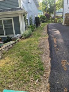 8 Amazing Advantages of Fall Aeration and Overseeding