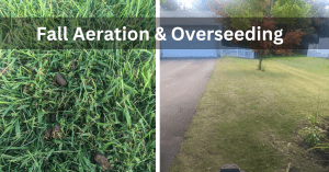 8 Amazing Advantages of Fall Aeration and Overseeding