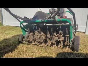 Lawn Renovation