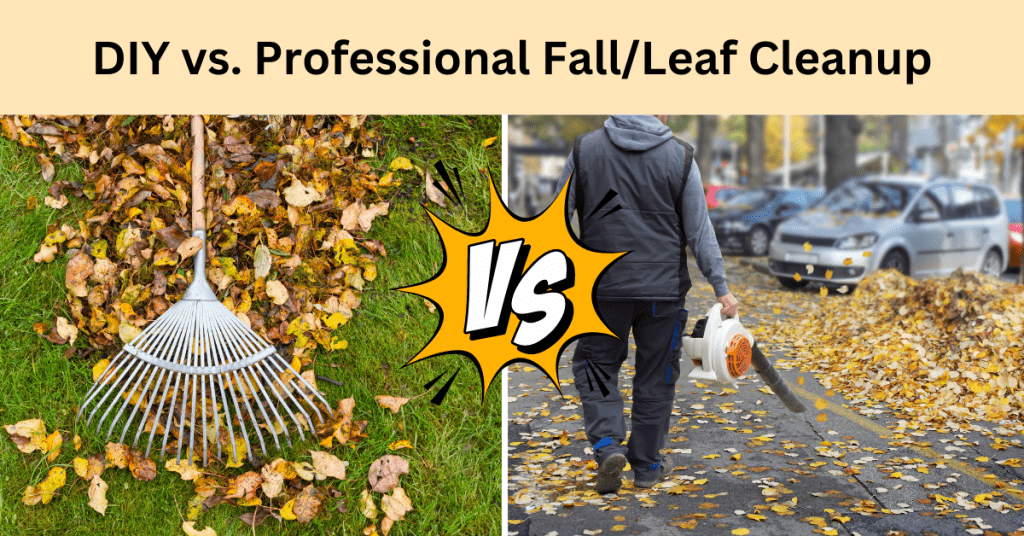 DIY vs. Professional Fall/Leaf Cleanup: Which Is Better?