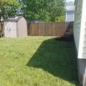 8 Amazing Advantages of Fall Aeration and Overseeding