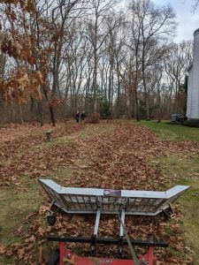What Does Fall Clean-Up Include? List of Services You Get