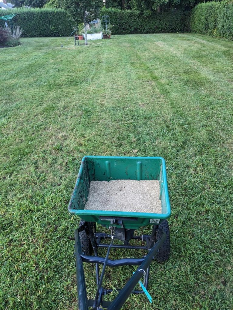 5 Best Lawn Renovation Options: From Loam to Hydroseeding