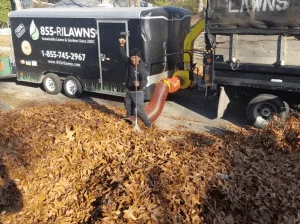 DIY vs. Professional Fall/Leaf Cleanup: Which Is Better?