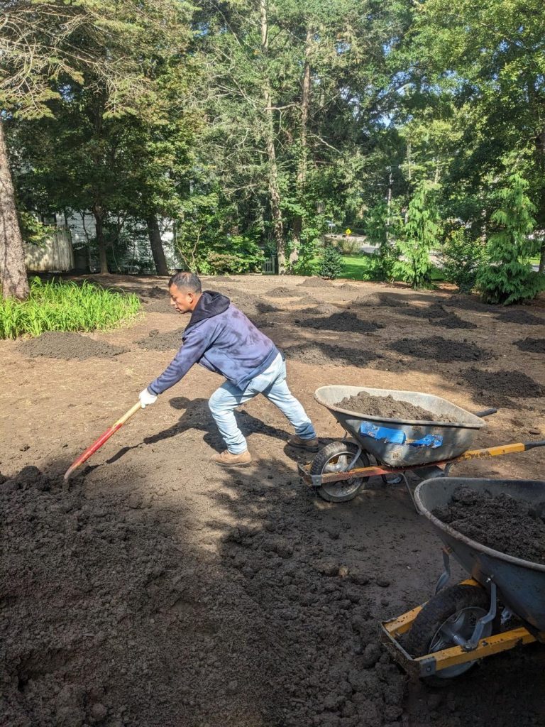 5 Best Lawn Renovation Options: From Loam to Hydroseeding