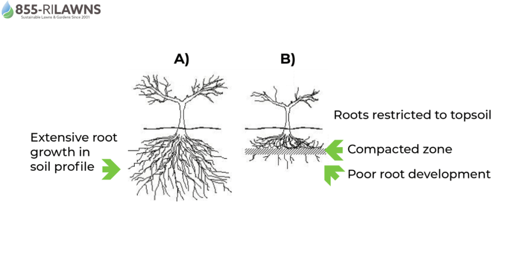 Understanding Soil Compaction and Its Impact on Your Lawn