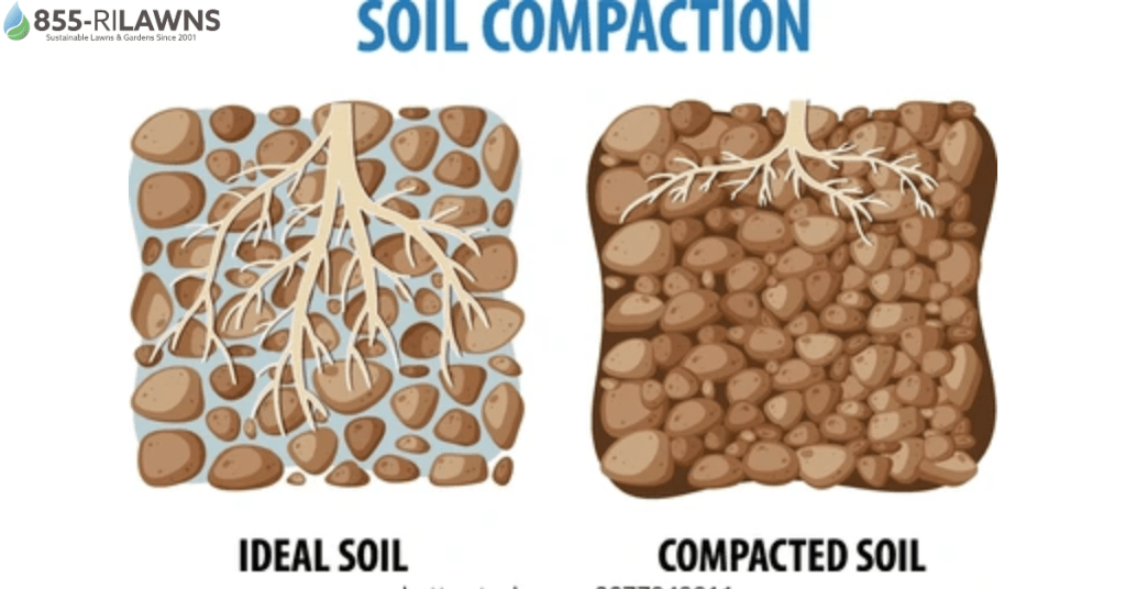 Understanding Soil Compaction and Its Impact on Your Lawn