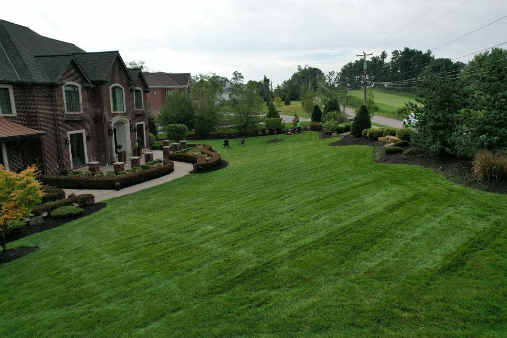 How to Care for Your Lawn After Aeration and Overseeding