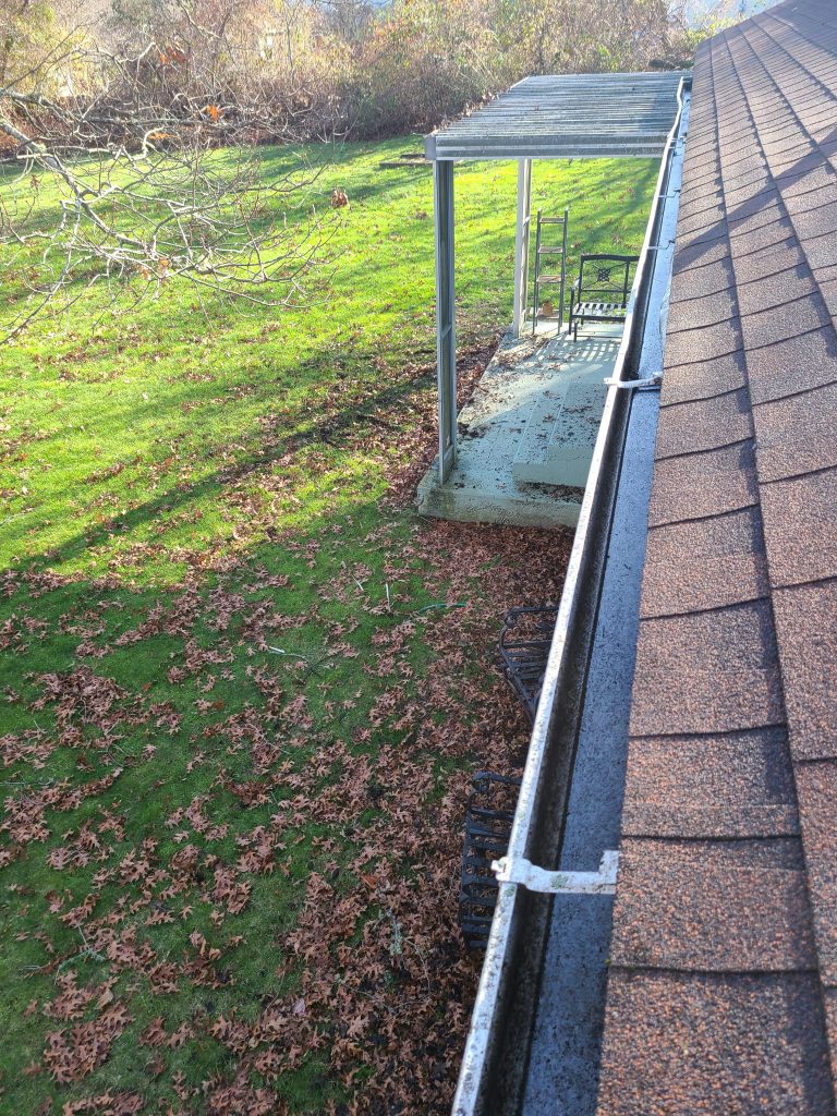 DIY vs. Professional Gutter Cleaning: Which Is Better?

