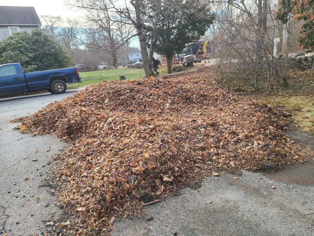 5 really good reasons To Have a Fall Cleanup