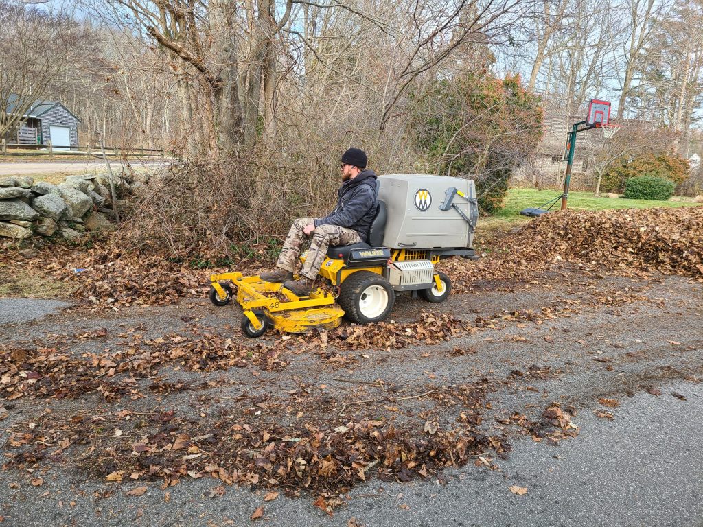 5 Really Good Reasons To Have a Fall Cleanup