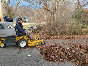5 Shocking Reasons To Have a Fall Cleanup