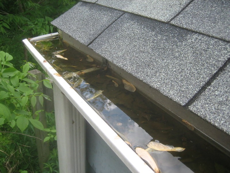 7 Best Reasons To Have a Regular Gutter Cleaning