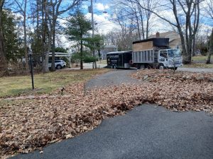 7 Must-Know Fall Cleanup Tips for a Beautiful Garden