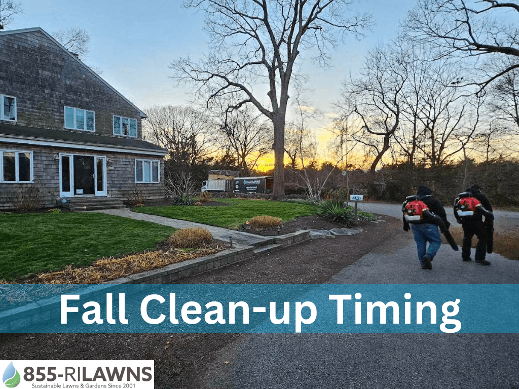 When is the best time for fall clean-up