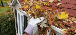 DIY vs. Professional Gutter Cleaning: Which Is Better?