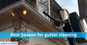 Best-Season-for-gutter-cleaning