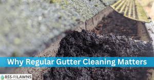 Best-Season-for-gutter-cleaning