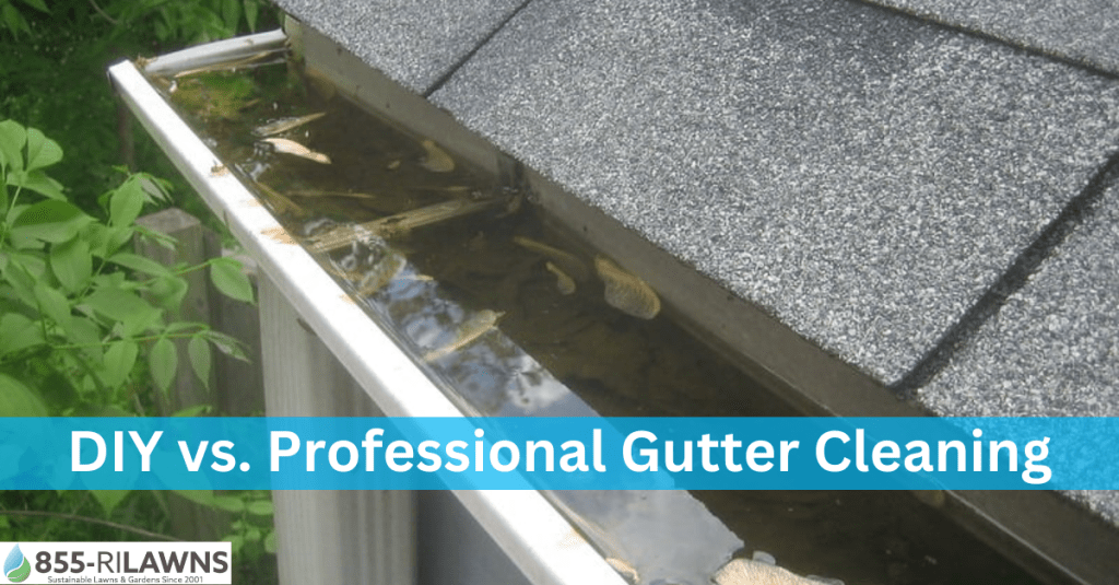 DIY vs. Professional Gutter Cleaning: Which Is Better?