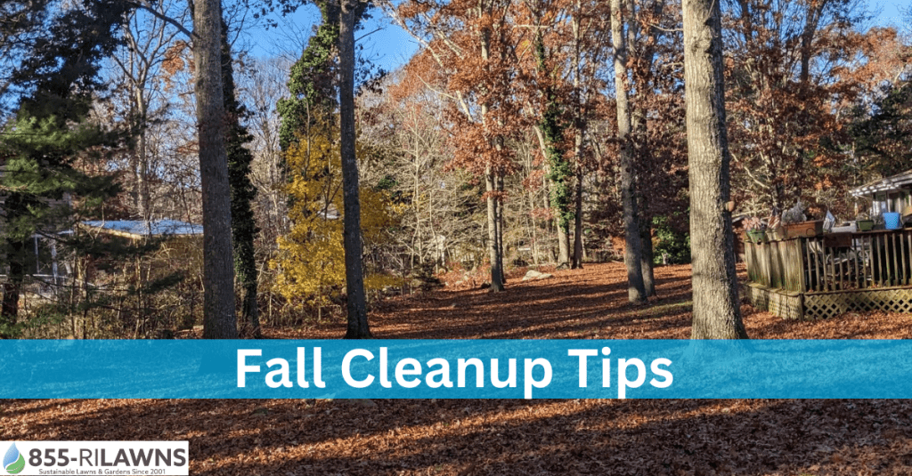 7 Must-Know Fall Cleanup Tips for a Beautiful Garden