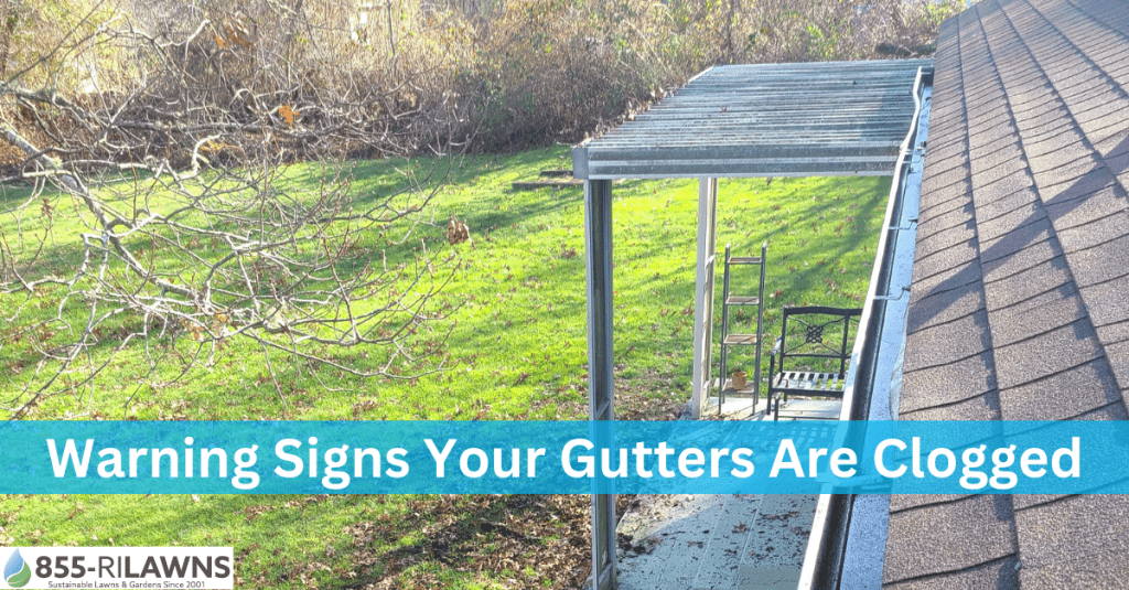 4-Warning-Signs-Your-Gutters-Are-Clogged-and-Need-Immediate-Attention