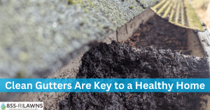 5-Reasons-Clean-Gutters-Are-Key-to-a-Healthy-Home