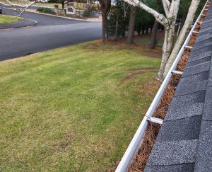 Why Choose Our Gutter Cleaning Package