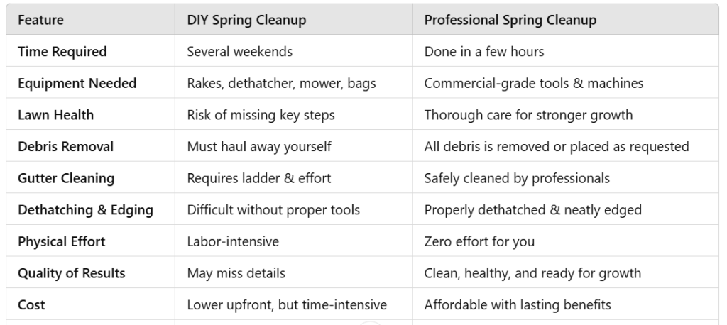 Why You Should Hire a Professional Spring Cleanup