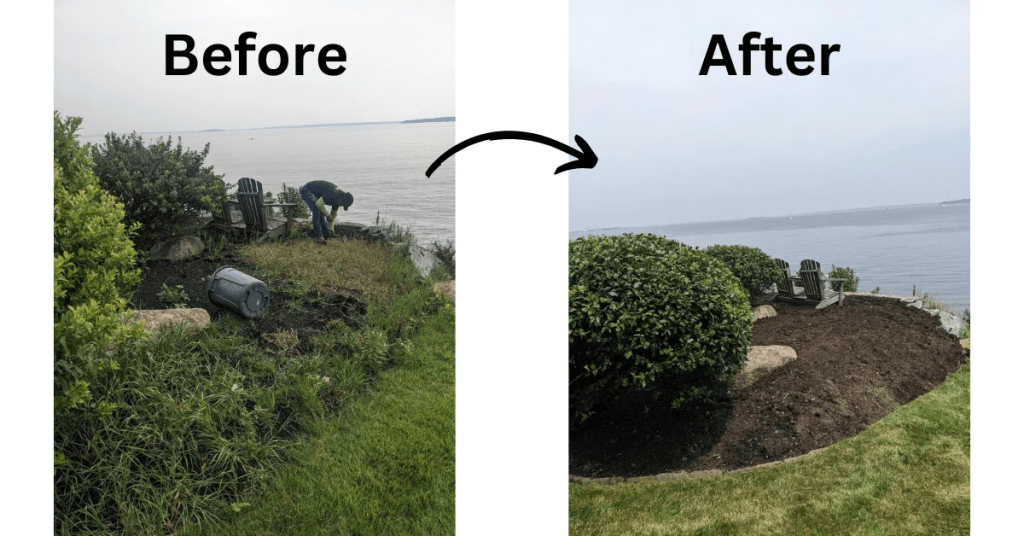 Bed Weeding Services That Actually Work (And Save You Time)