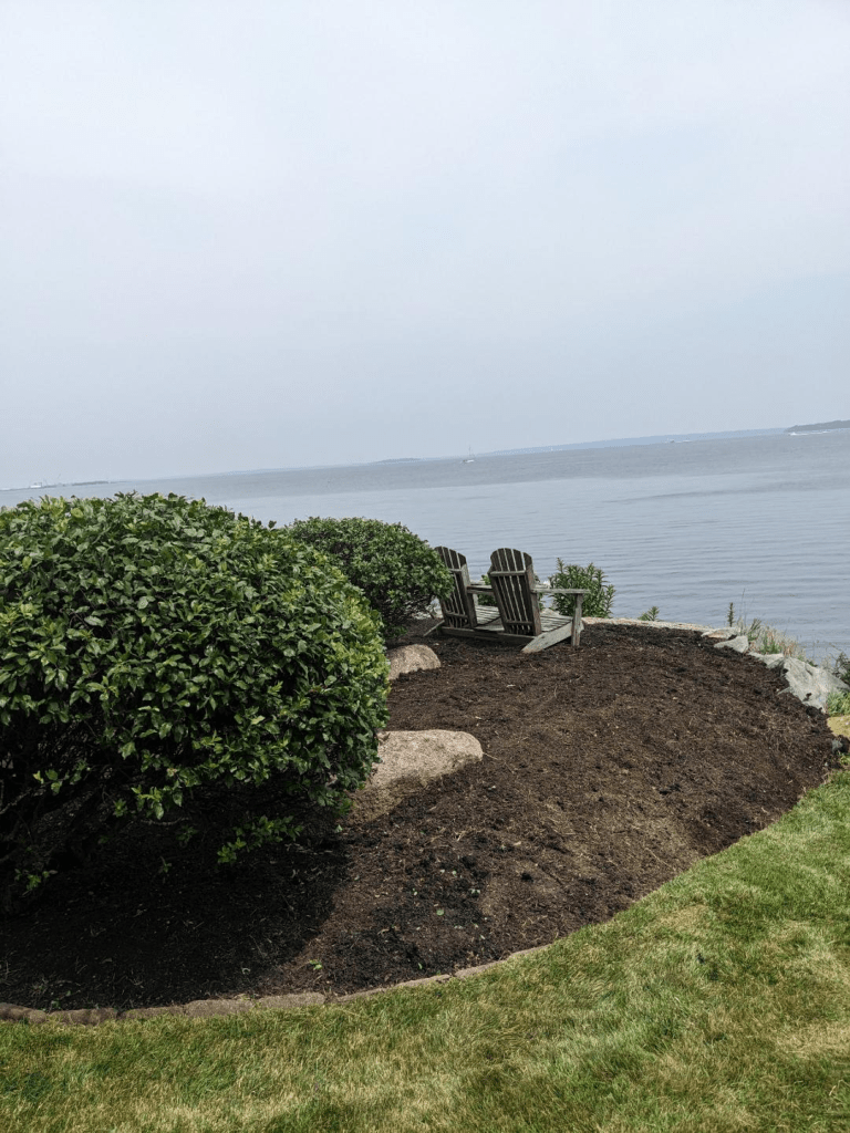 Bed Weeding Services That Actually Work (And Save You Time)