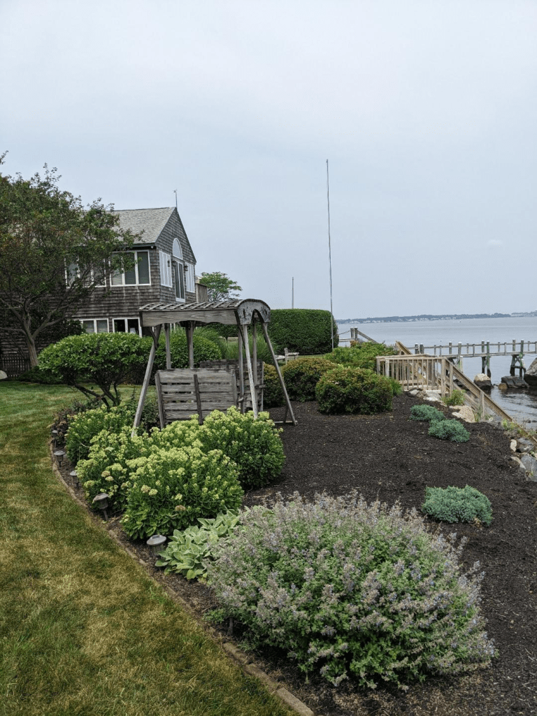 Bed Weeding Services That Actually Work (And Save You Time)