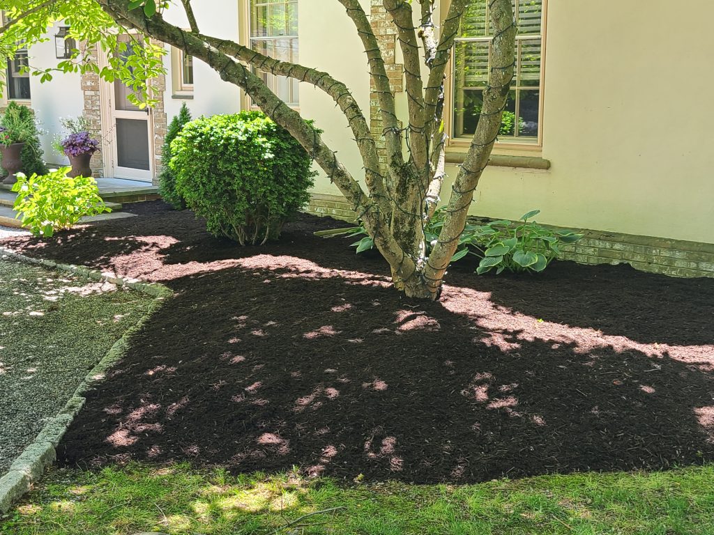 Mulch Application 101: 1 Smart Way to Protect Your Landscape