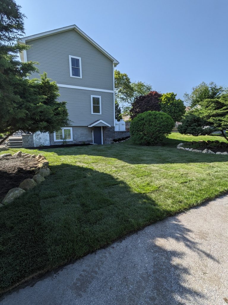 5 Signs You Need a Complete Lawn Renovation