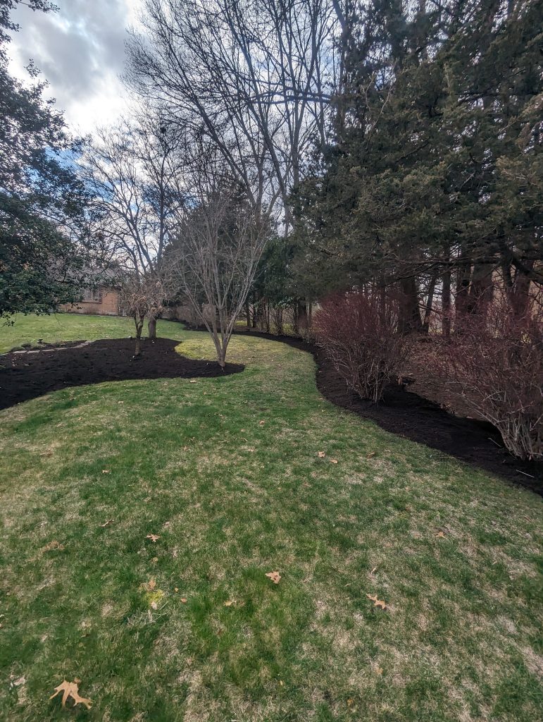 Mulch Application 101: 1 Smart Way to Protect Your Landscape