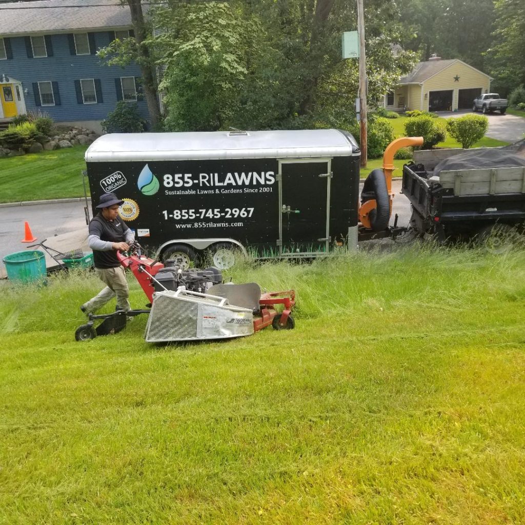 Why Should You Choose Weekly Lawn Mowing Service of 855-RILAWNS